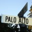 palo_alto